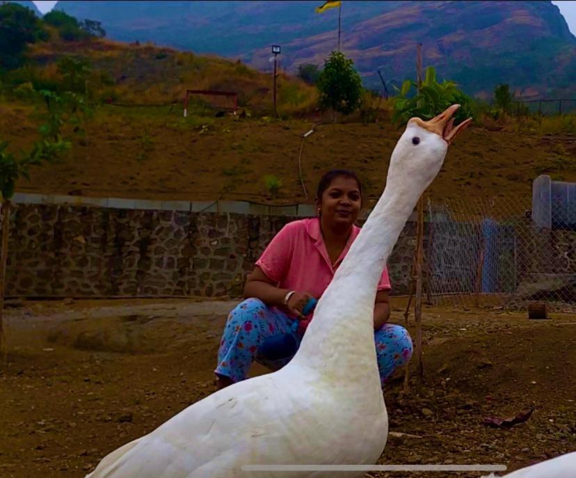 Jandyal Farm House Malshej Ghat Eksteriør bilde