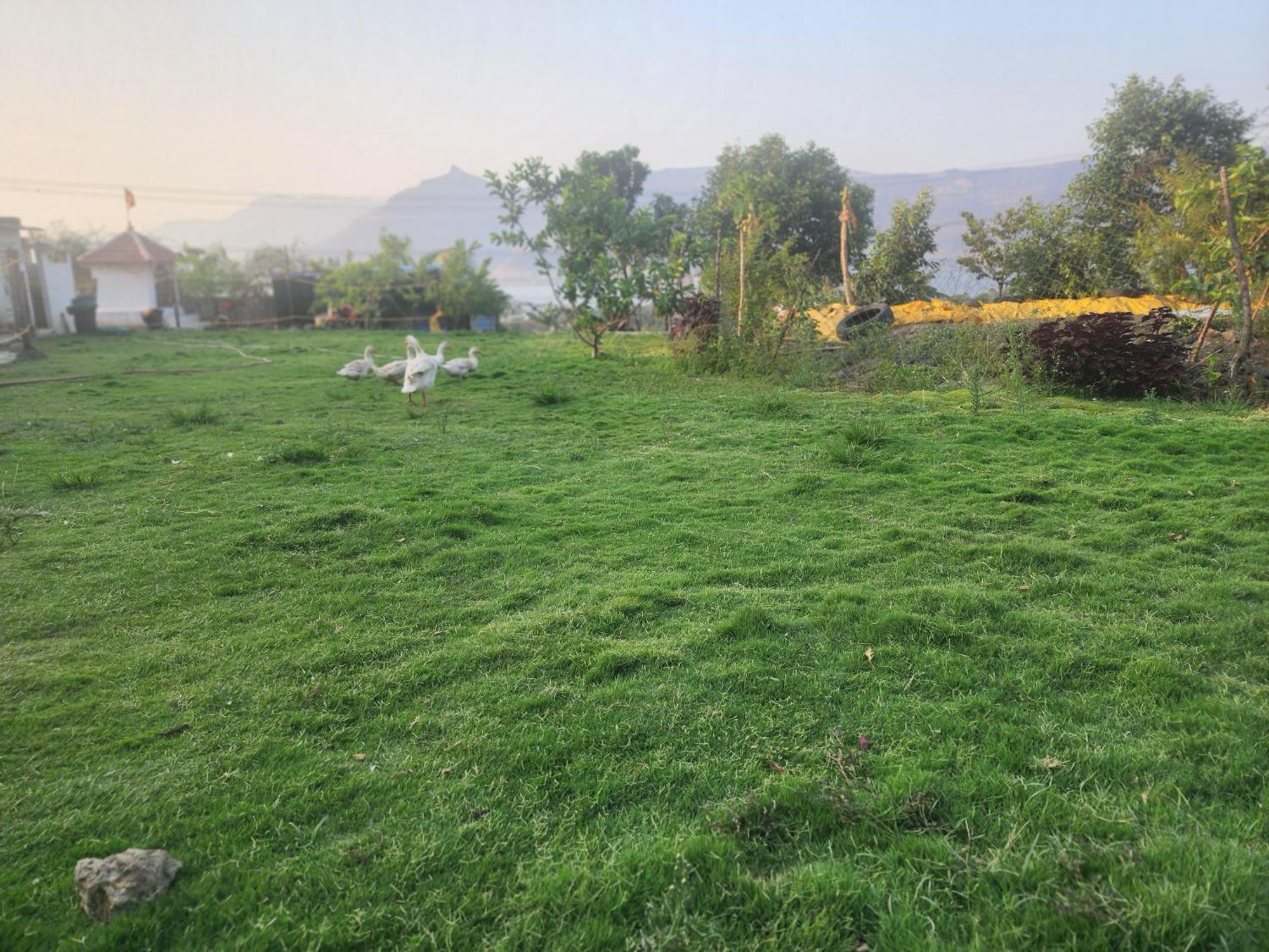 Jandyal Farm House Malshej Ghat Eksteriør bilde